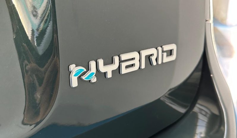 FIAT PANDA CROSS 1.0 HYBRID 70 CV 2024 – VERDE FORESTA, POCHI KM E PRONTA SUBITO pieno