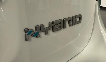 Fiat Panda Cross 1.0 Hybrid 70 CV – Restyling 2024 – Pronta Consegna pieno