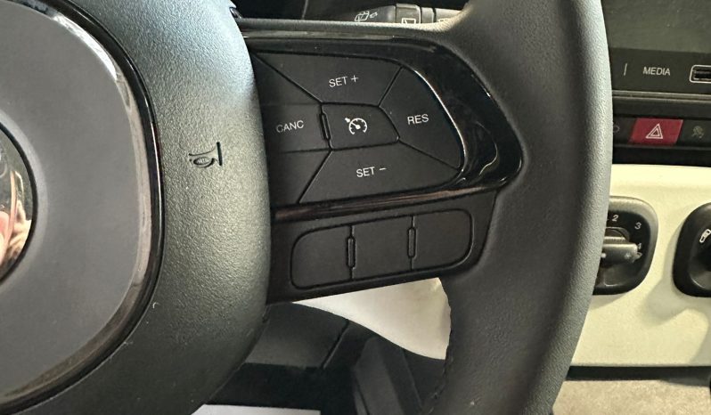 FIAT Pandina Cross – Il Crossover Ibrido Più Amato d’Italia pieno