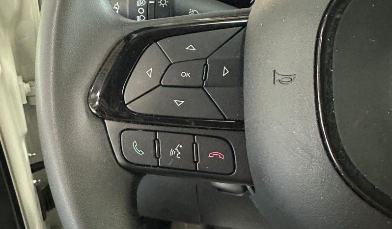 FIAT Pandina Cross – Il Crossover Ibrido Più Amato d’Italia pieno