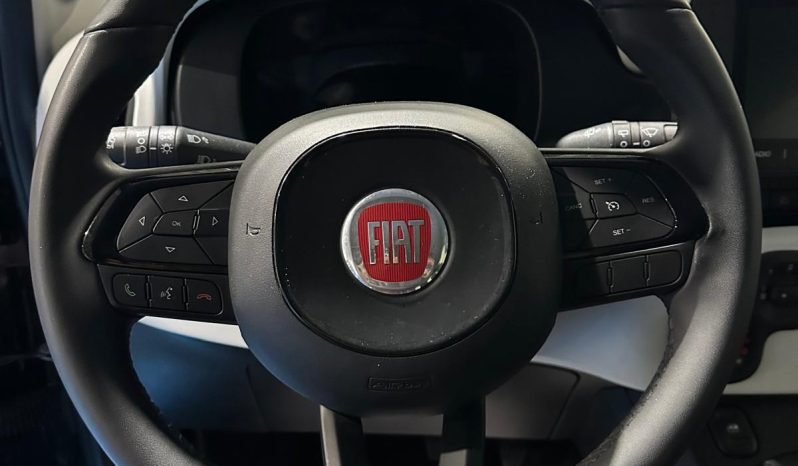FIAT Pandina Cross Hybrid – Grinta, Efficienza e Consegna Immediata pieno