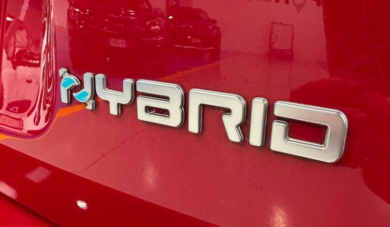 Possibilità di installazione impianto GPL (Landi Renzo o BRC) pieno