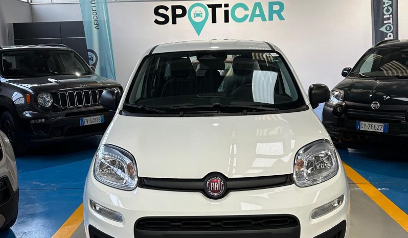 Fiat Panda 1.0 Hybrid 70CV Icon – KM 0 | Modello 2025 | Pronta Consegna pieno