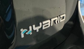 PANDINA CROSS HYBRID 2025 – SUBITO TUA! pieno