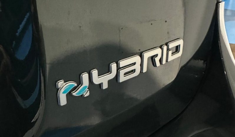 PANDINA CROSS HYBRID 2025 – SUBITO TUA! pieno