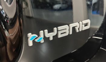 PANDINA CROSS 2025 – SUBITO TUA! pieno