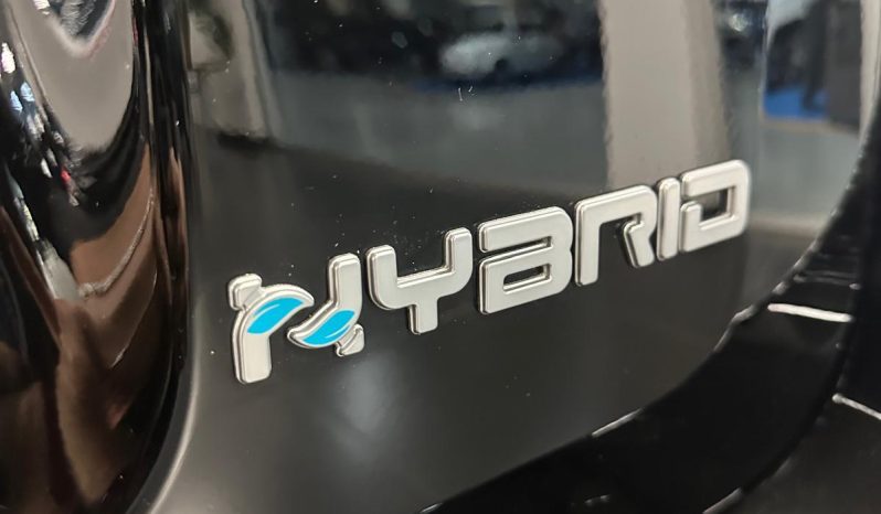 PANDINA CROSS 2025 – SUBITO TUA! pieno