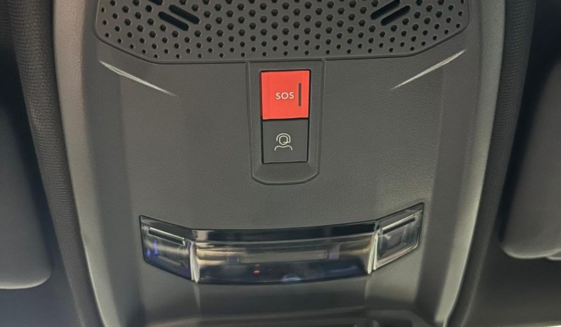 Ypsilon LX Automatica – Eleganza Top pieno