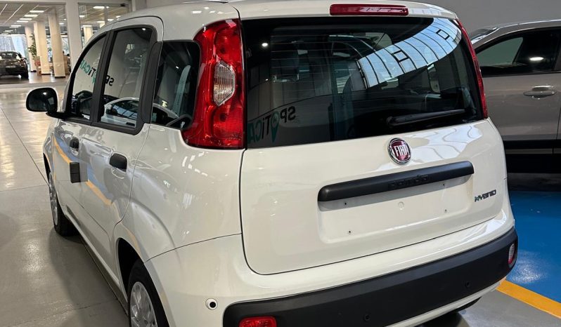 Fiat Panda Hybrid Icon 2025 – KM 0, Pronta Consegna pieno