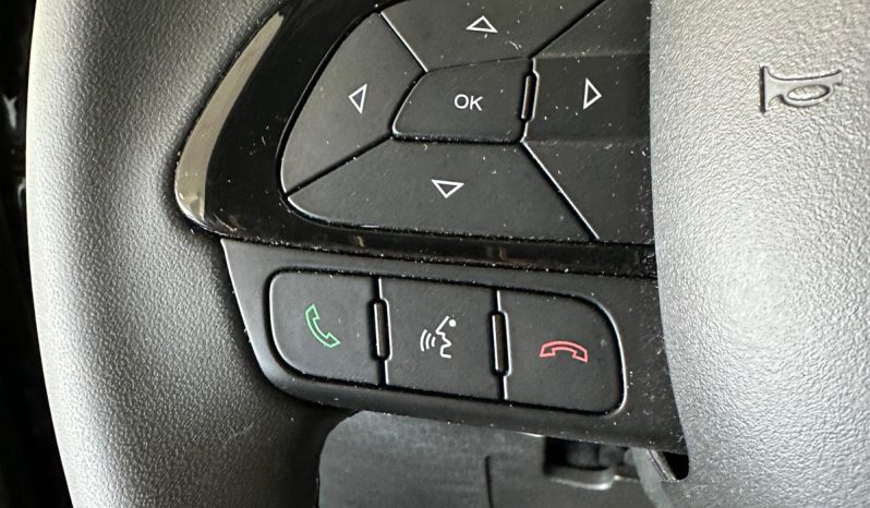 Fiat Pandina Cross Hybrid – Tecnologia, Comfort e Bassi Consumi pieno
