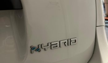 Bianca, Hybrid e Super Pratica | Pandina Cross pieno