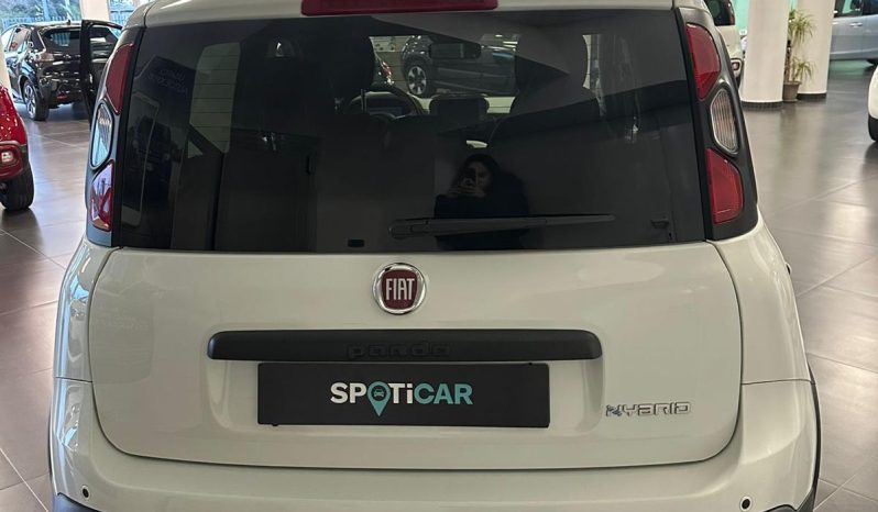 Bianca, Hybrid e Super Pratica | Pandina Cross pieno