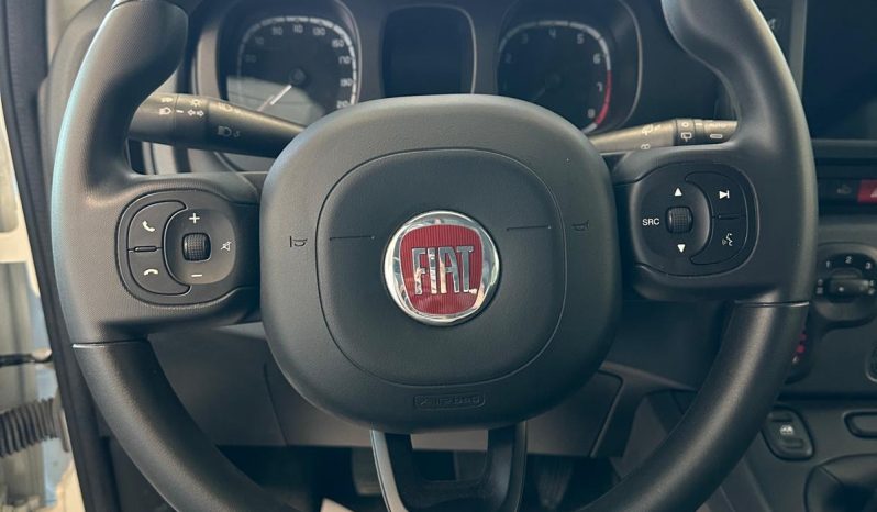 Panda Cross 2024 Hybrid: consumi bassi, stile top pieno