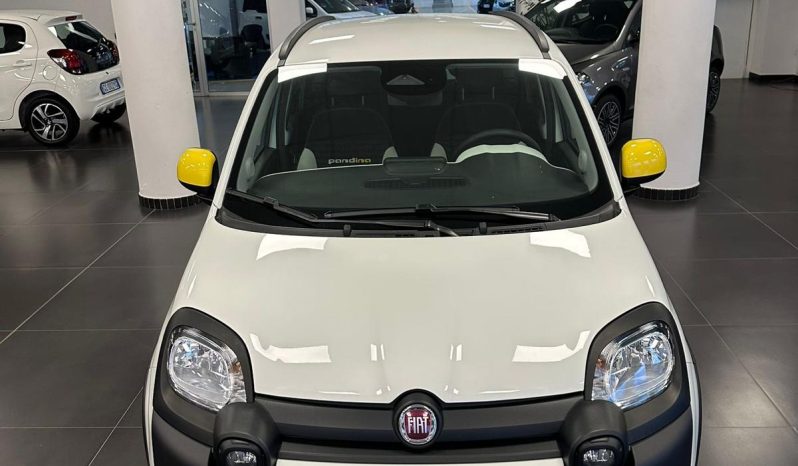 PANDINA CROSS 70 CV HYBRID – LA CITYCAR CHE VA OVUNQUE pieno