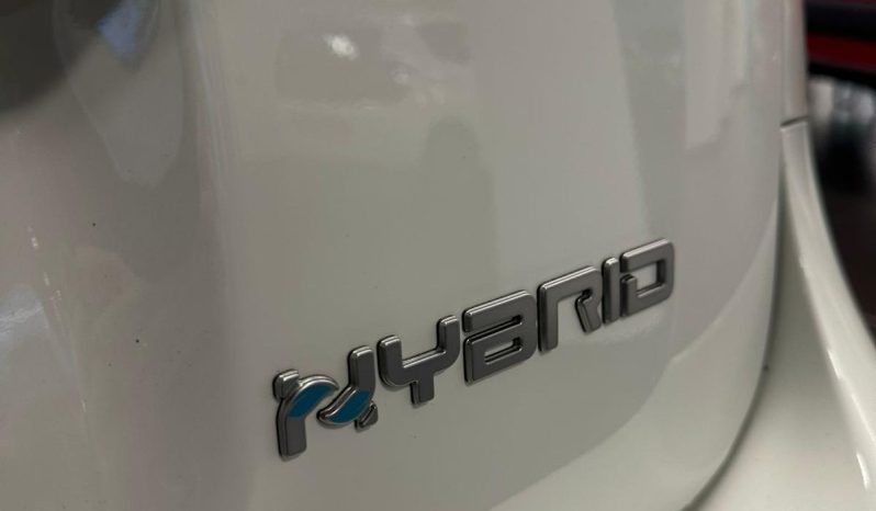 PANDINA CROSS 70 CV HYBRID – LA CITYCAR CHE VA OVUNQUE pieno