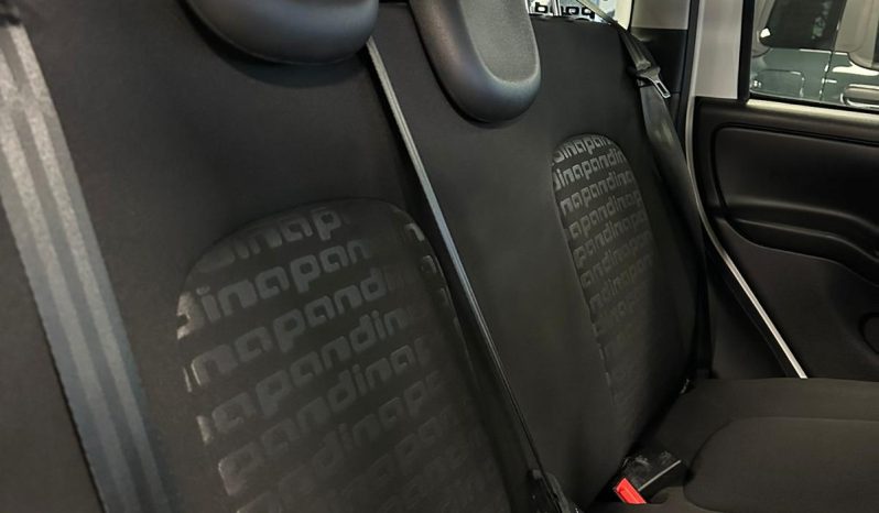 PANDINA CROSS 70 CV HYBRID – LA CITYCAR CHE VA OVUNQUE pieno