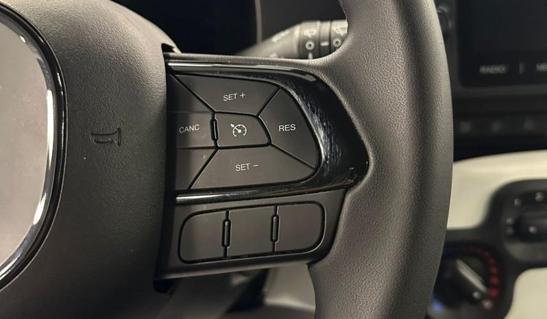 PANDINA CROSS 70 CV HYBRID – LA CITYCAR CHE VA OVUNQUE pieno