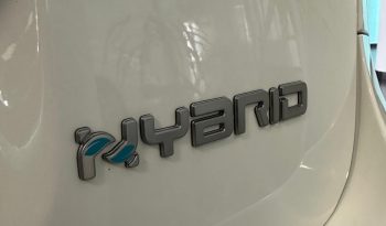FIAT PANDA CROSS HYBRID 2024 – RESTYLING, UFFICIALE FIAT E PRONTA CONSEGNA! pieno
