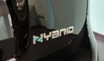 FIAT PANDINA CROSS HYBRID pieno