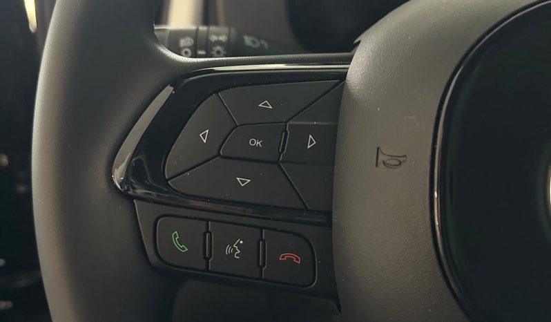 FIAT PANDINA CROSS HYBRID pieno