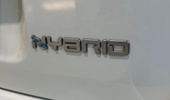 PRONTA A PARTIRE: NUOVA FIAT PANDINA CROSS HYBRID pieno