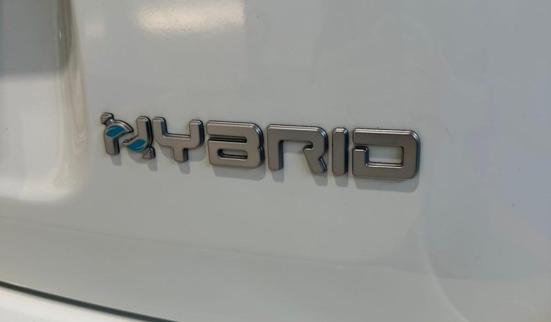 PRONTA A PARTIRE: NUOVA FIAT PANDINA CROSS HYBRID pieno