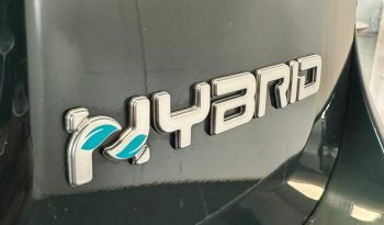 FIAT PANDINA CROSS 2025 • SALI A BORDO DELLA NOVITÀ! pieno