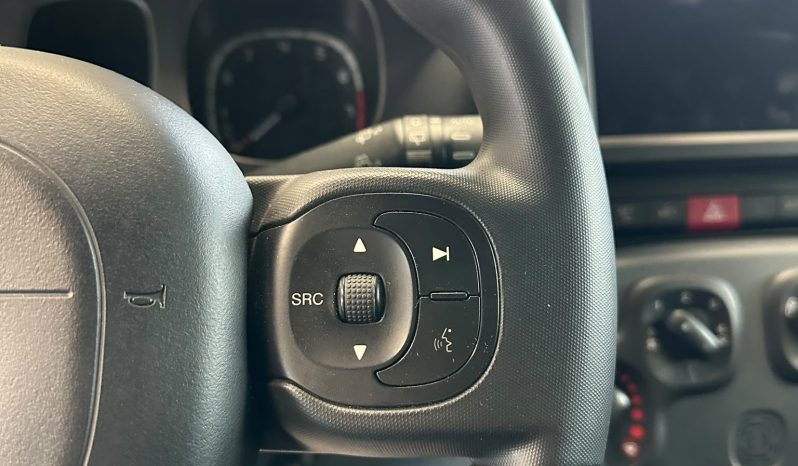PANDA CROSS HYBRID 2024 🔥 La city car dal carattere deciso! pieno
