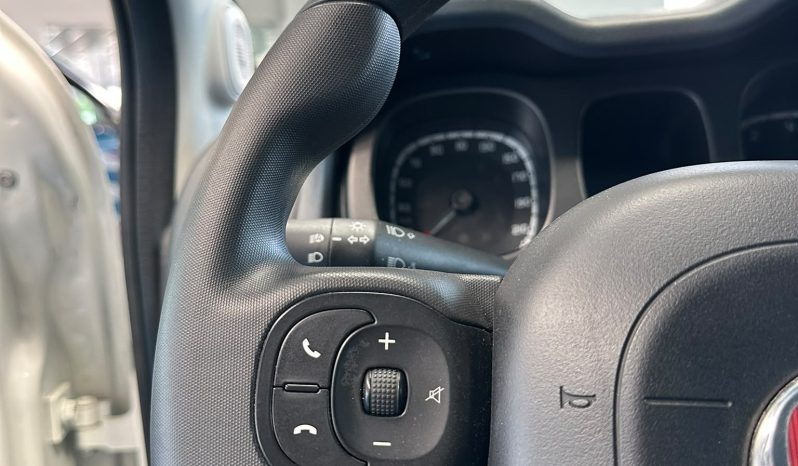 PANDA CROSS HYBRID 2024 🔥 La city car dal carattere deciso! pieno