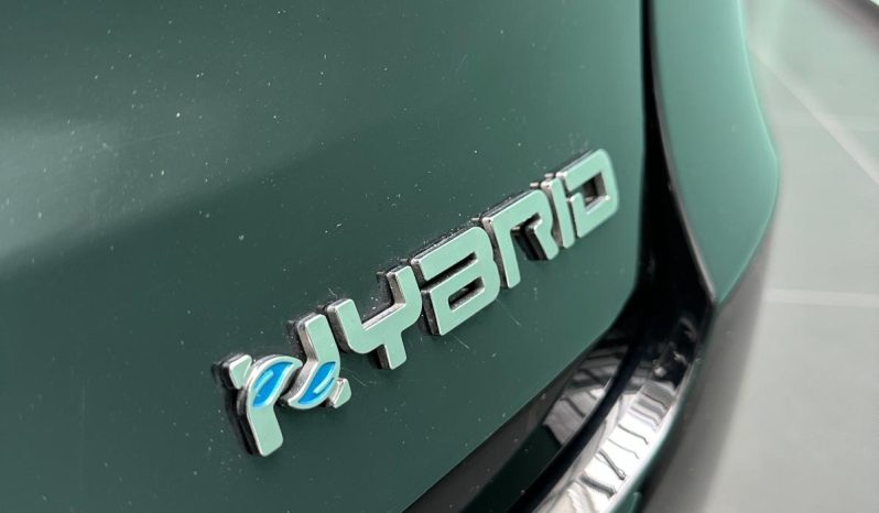NERA, AUTOMATICA E HYBRID… CHE FIAT 600! pieno