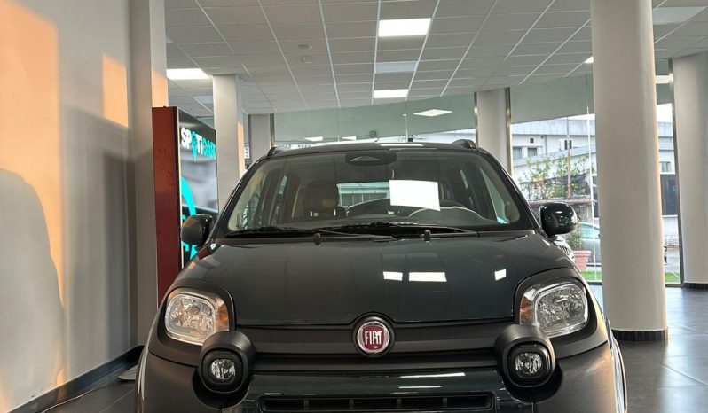 PANDINA CROSS HYBRID – LA PICCOLA CHE HA UNA MARCIA IN PIÙ! pieno