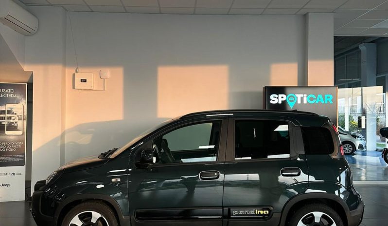 PANDINA CROSS HYBRID – LA PICCOLA CHE HA UNA MARCIA IN PIÙ! pieno