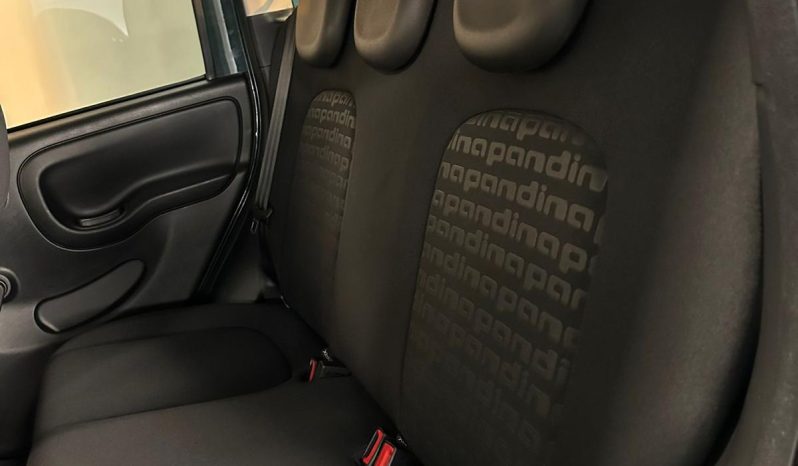 PANDINA CROSS HYBRID – LA PICCOLA CHE HA UNA MARCIA IN PIÙ! pieno