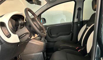 PANDINA CROSS HYBRID – LA PICCOLA CHE HA UNA MARCIA IN PIÙ! pieno