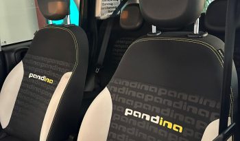 PANDINA CROSS HYBRID – LA PICCOLA CHE HA UNA MARCIA IN PIÙ! pieno