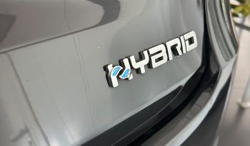 FIAT 600: COMPATTA, GRINTOSA, HYBRID! pieno