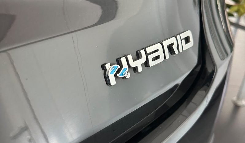 FIAT 600: COMPATTA, GRINTOSA, HYBRID! pieno