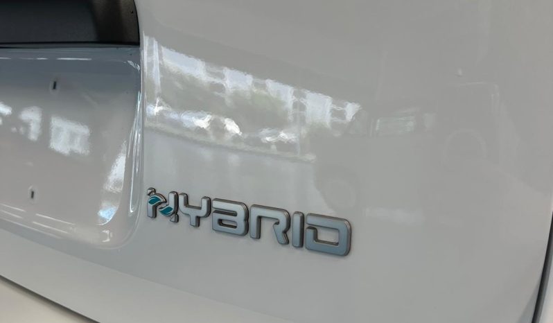 FIAT PANDINA CROSS HYBRID: KM 0, PRONTA A PARTIRE! pieno