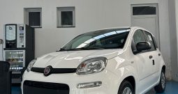 FIAT PANDINA ICON HYBRID: PICCOLA, PRATICA, PRONTA A PARTIRE!