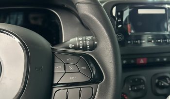 FIAT PANDINA ICON HYBRID: PICCOLA, PRATICA, PRONTA A PARTIRE! pieno