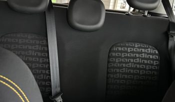PANDINA CROSS HYBRID: LA TUA PROSSIMA AUTO È QUI! pieno