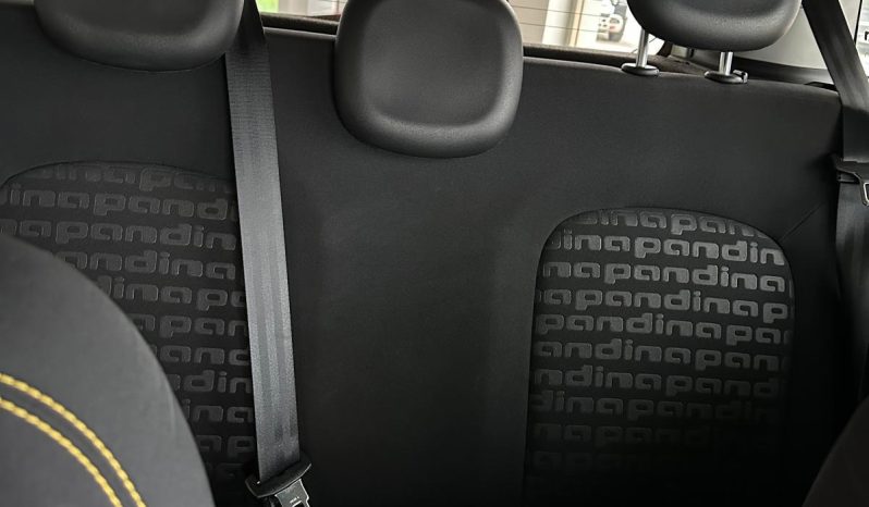 PANDINA CROSS HYBRID: LA TUA PROSSIMA AUTO È QUI! pieno