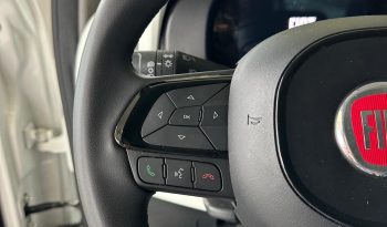 PANDINA CROSS HYBRID: LA TUA PROSSIMA AUTO È QUI! pieno