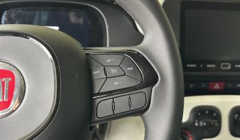 PANDINA CROSS HYBRID: LA TUA PROSSIMA AUTO È QUI! pieno