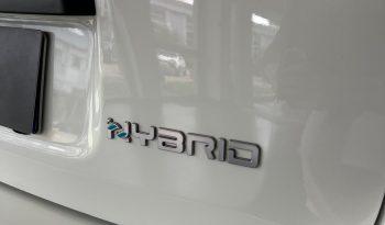 PANDINA CROSS HYBRID: LA TUA PROSSIMA AUTO È QUI! pieno