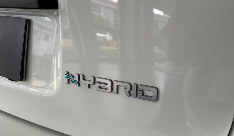 PANDINA CROSS HYBRID: LA TUA PROSSIMA AUTO È QUI! pieno